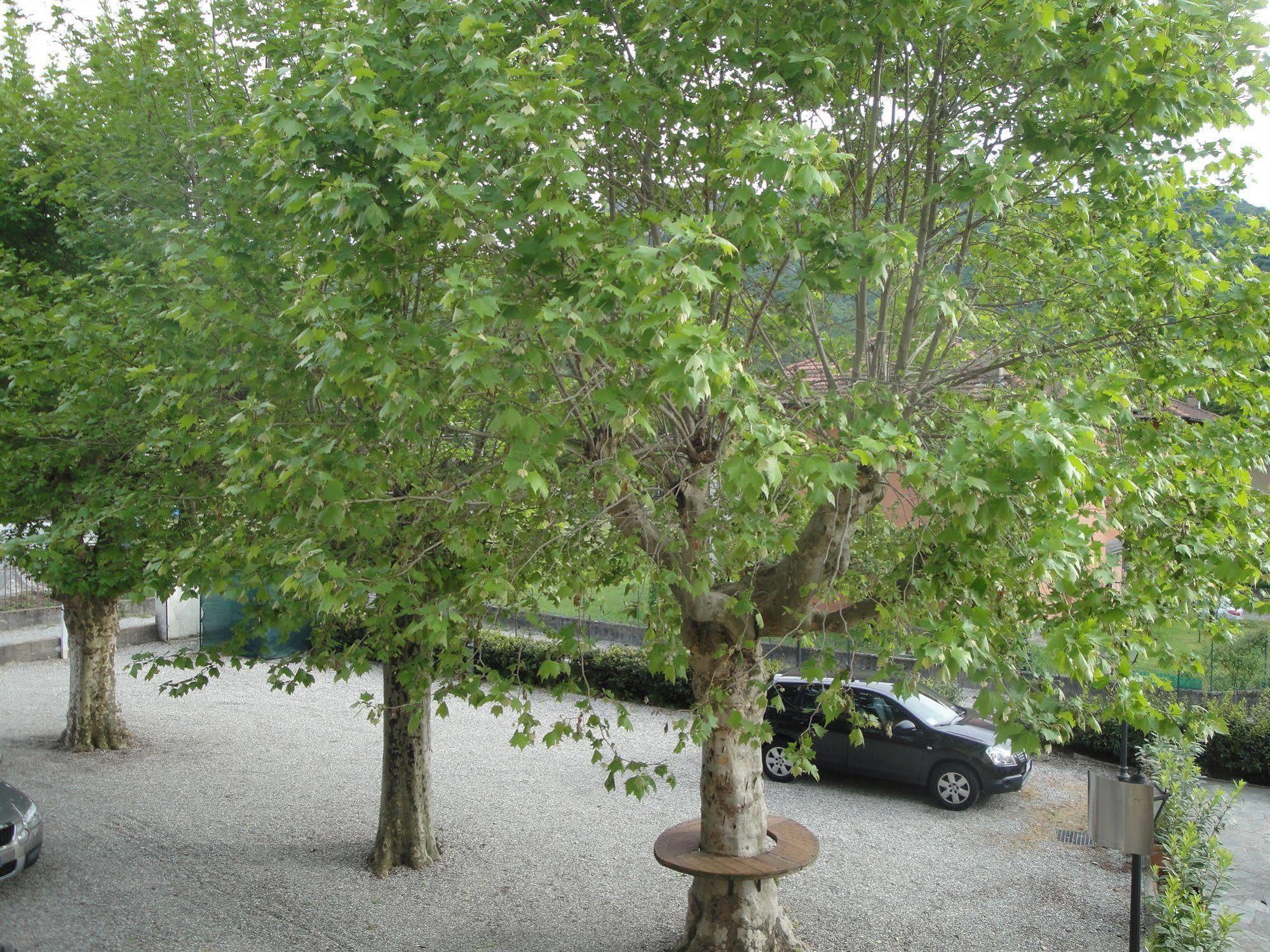 Del Brinsc Maison d'hôtes Brinzio